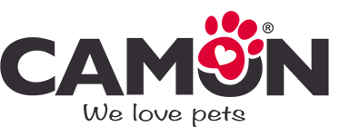 logo-camon-2